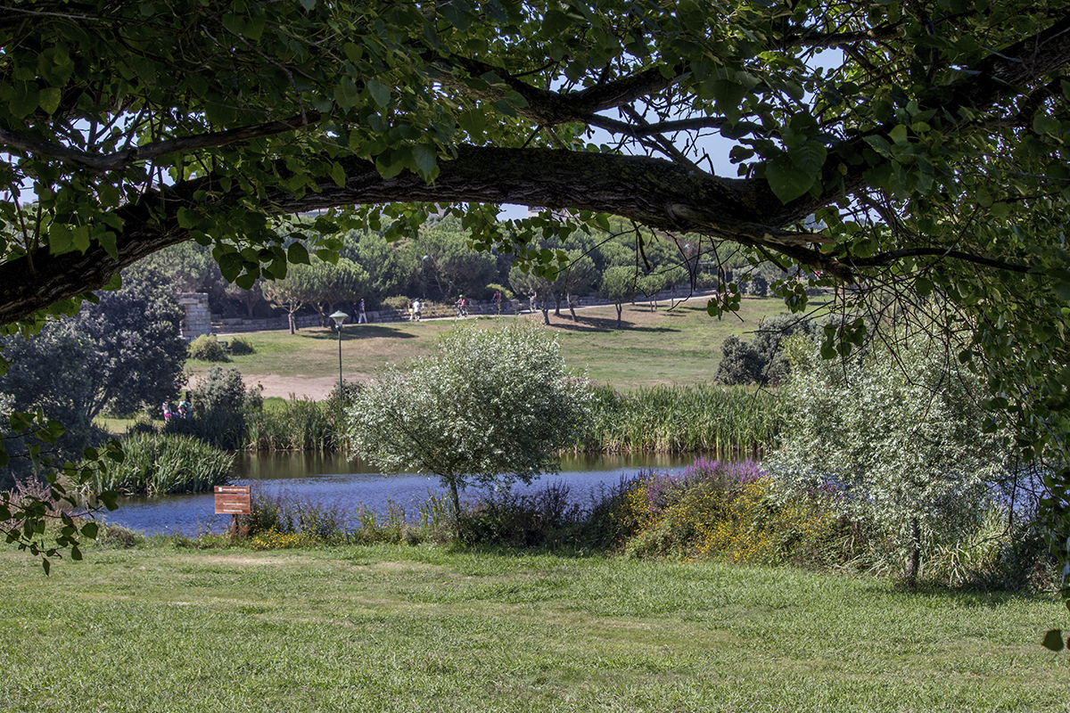 Parque da Cidade